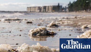 Hopes ‘monster swell’ coming to Australia’s southern coast may clear toxic algal bloom devastating marine life | South Australia