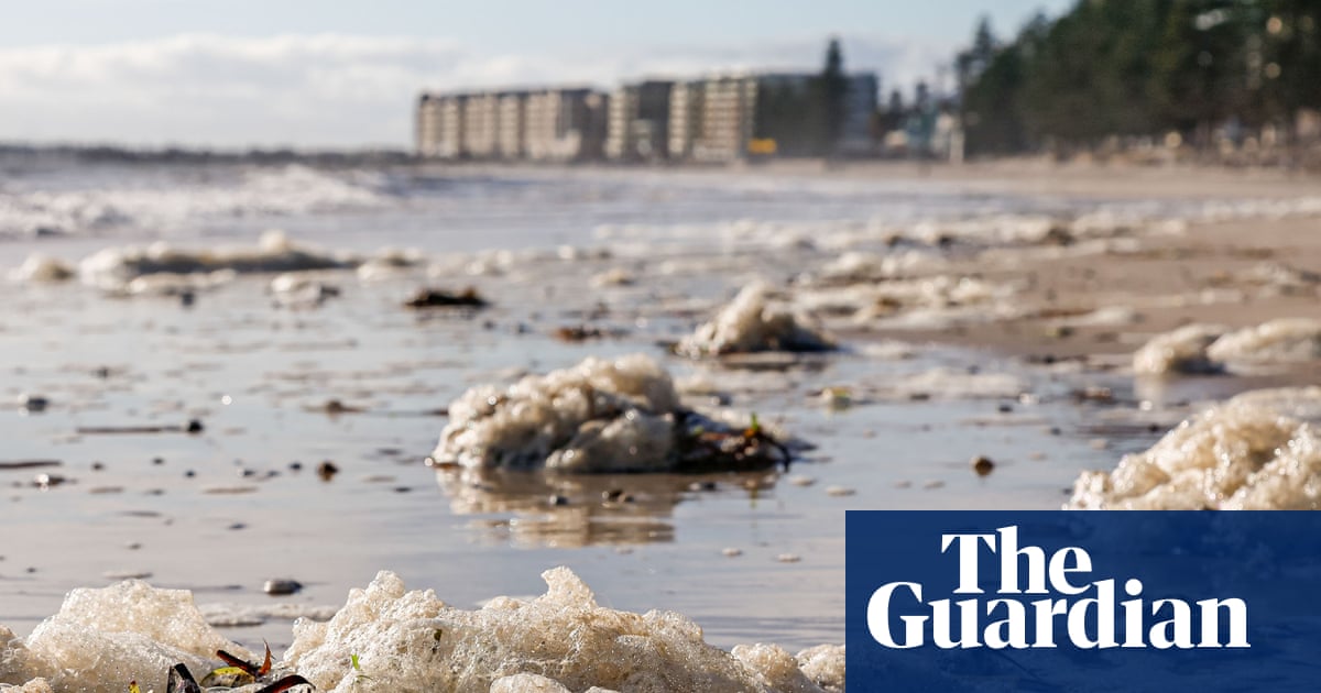 Hopes ‘monster swell’ coming to Australia’s southern coast may clear toxic algal bloom devastating marine life | South Australia