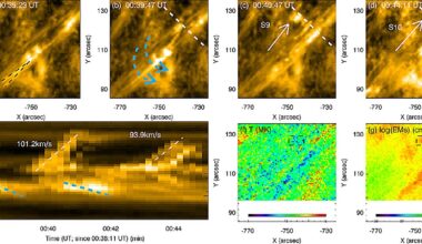 Component reconnection drives filament splitting and double-decker formation in solar physics