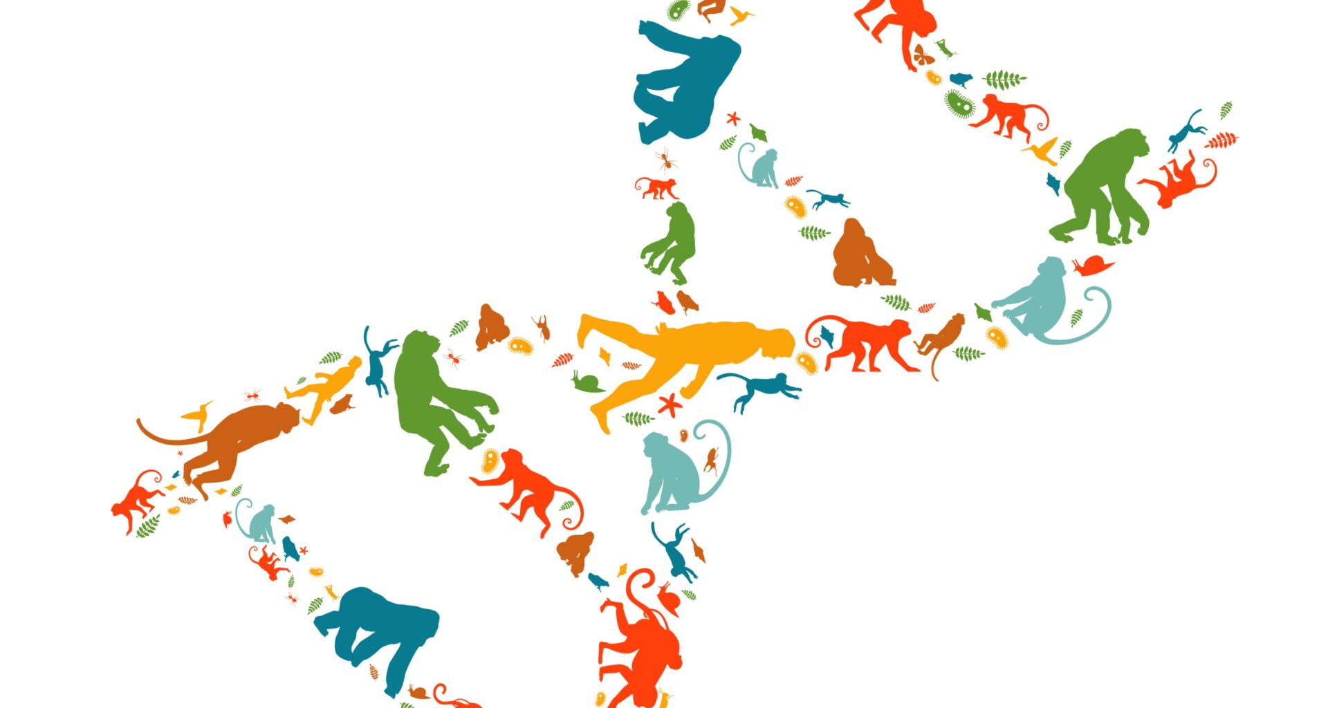 Study reveals hidden regulatory roles of 'junk' DNA