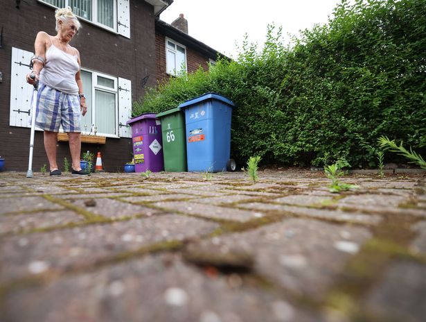 Gladys Bakken and her driveway which is being damaged by the roots of the trees on Lower House Road. Photo by Colin Lane