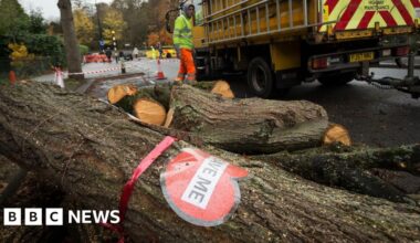 Sheffield Council offers apology to more tree campaigners