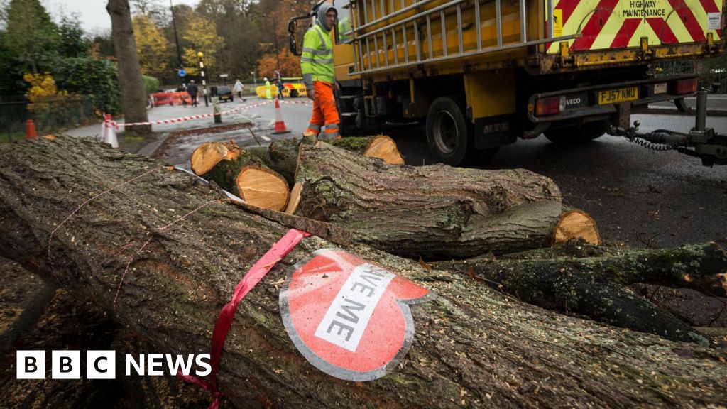 Sheffield Council offers apology to more tree campaigners