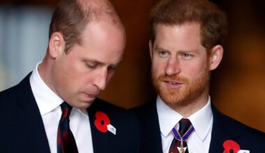Princes William and Harry's cousin, 20, found dead with firearm nearby to her