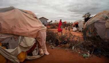 Droughts are causing record devastation worldwide, UN-backed report reveals