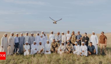 Why is UAE releasing its most treasured Falcons thousands of miles away from home? | World News