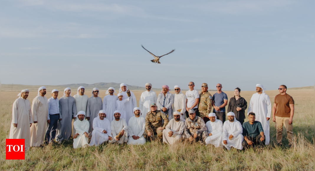 Why is UAE releasing its most treasured Falcons thousands of miles away from home? | World News