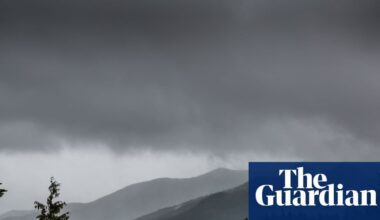 ‘Hero’ father pulls four-year-old child out of mountain lion’s jaws in Washington state | Washington state