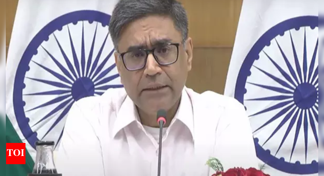 India helping Maldives stabilise its 'stressful financial' situation: Foreign secretary Misri | India News