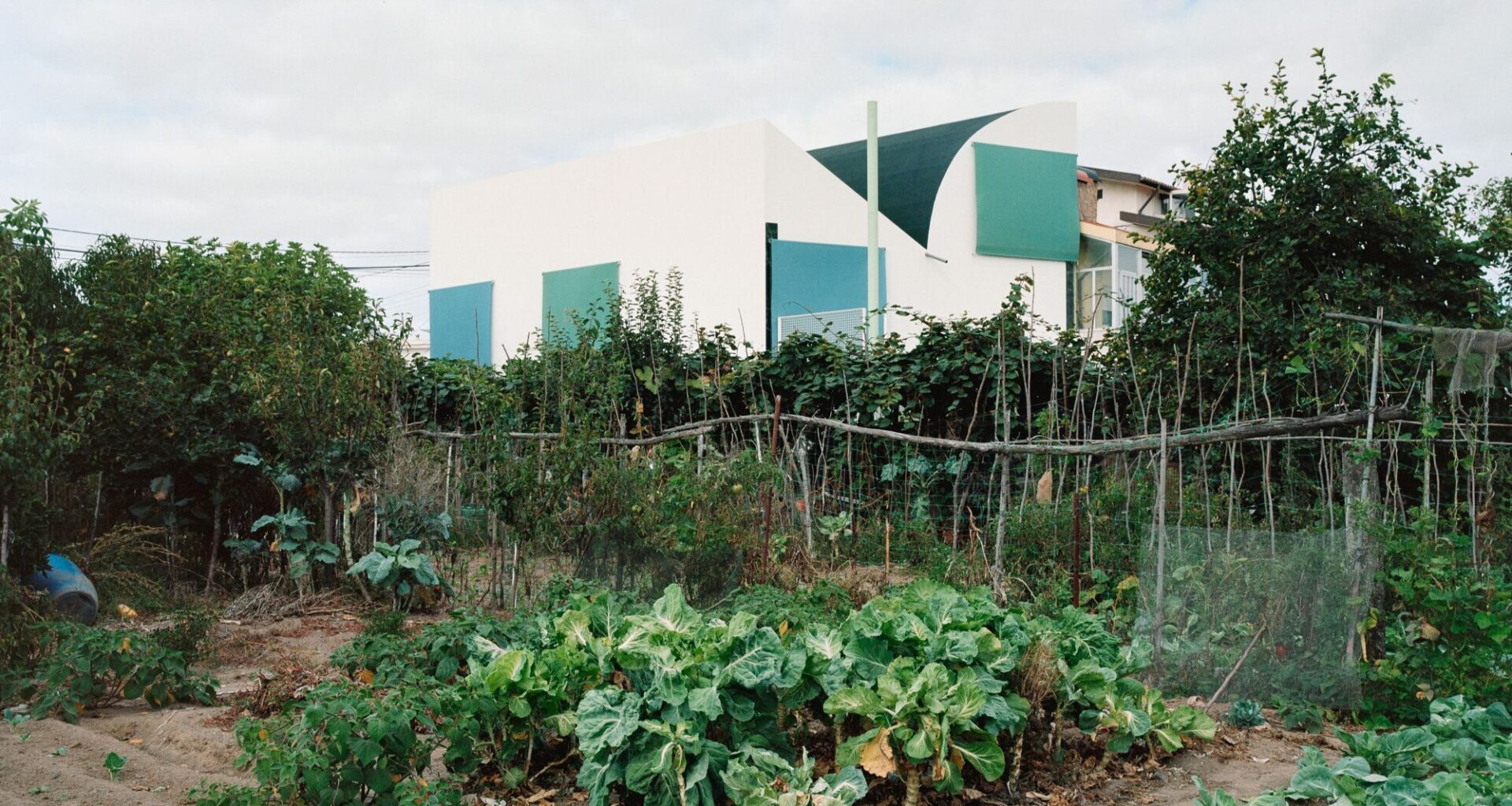 House with an Inverted Roof / fala