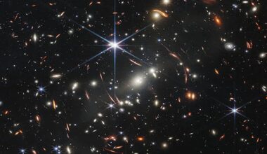 JWST finds plenty of low mass black holes in the early universe