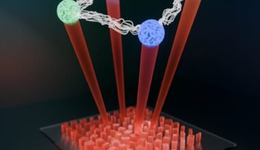 Metasurfaces could be the next quantum information processors