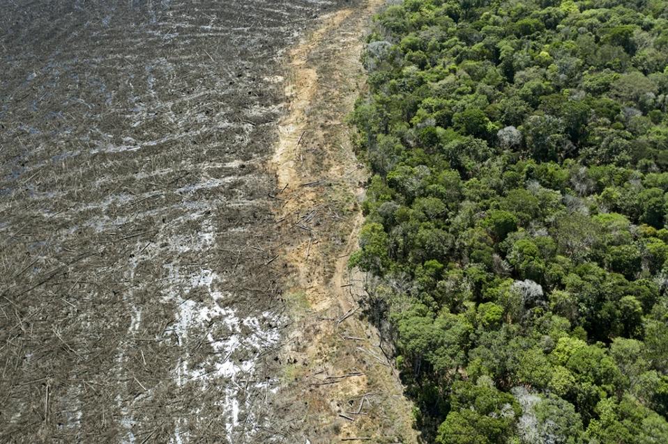 BRAZIL-ENVIRONMENT-DEFORESTATION