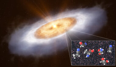 Complex organic molecules found in young star's disk hint at cosmic origins of life