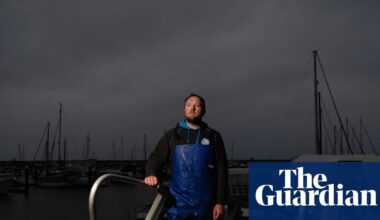 ‘We’re watching it get worse all the time’: as fish vanish in SA’s algal bloom, livelihoods are also at stake | South Australia