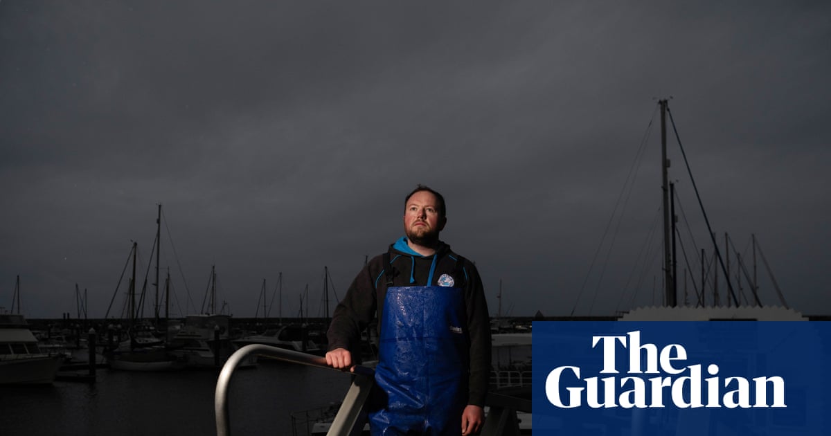 ‘We’re watching it get worse all the time’: as fish vanish in SA’s algal bloom, livelihoods are also at stake | South Australia