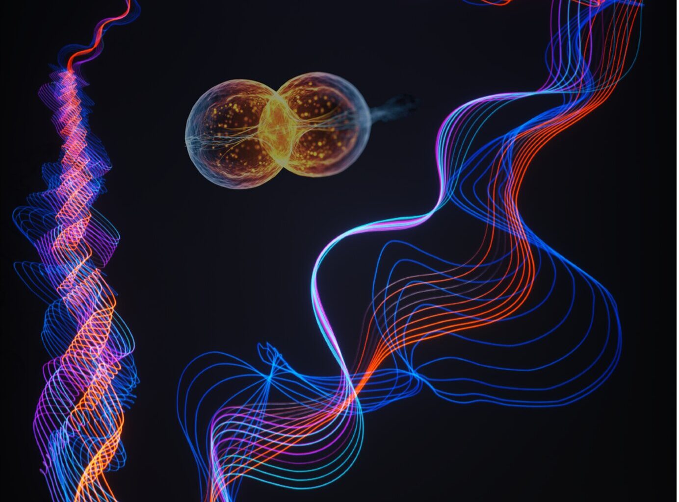 Researchers uncover a topological excitonic insulator with a tunable momentum order