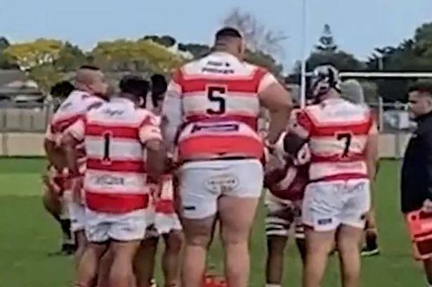 Will Skelton's giant brother