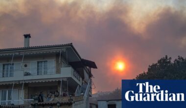 Greece enlists help from European allies to tackle raging wildfires | Greece