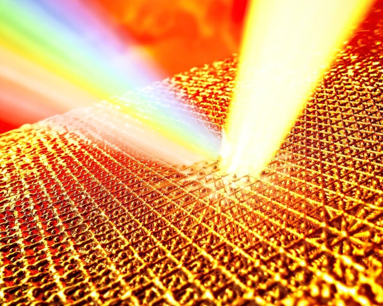Hot, hot gold; mechanisms of face recognition; first pathway of gut-brain communication