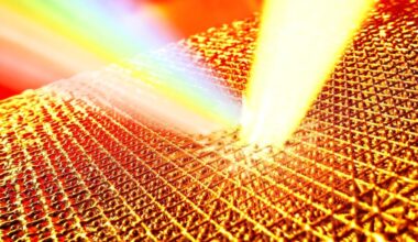 Hot, hot gold; mechanisms of face recognition; first pathway of gut-brain communication