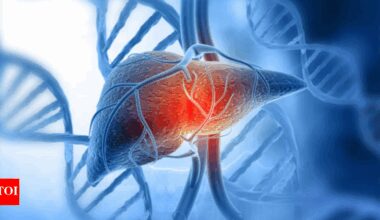 Liver Health: Top 3 foods for liver health backed by a US doctor: What to eat for a stronger liver |