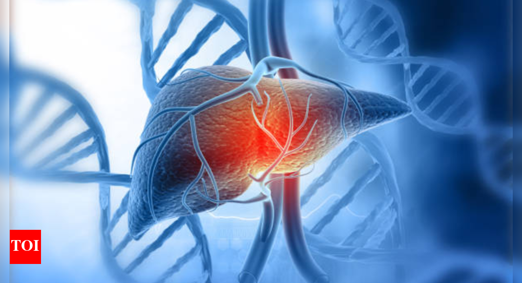 Liver Health: Top 3 foods for liver health backed by a US doctor: What to eat for a stronger liver |