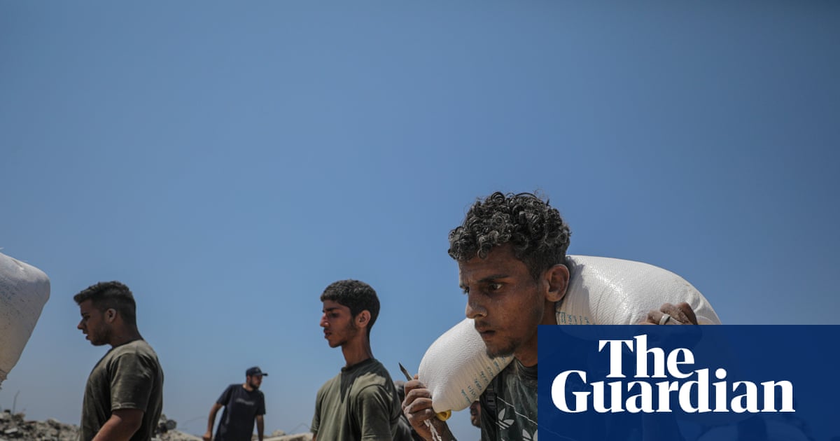 How will Israel’s ‘humanitarian pauses’ affect Gaza’s starvation crisis? | Israel-Gaza war