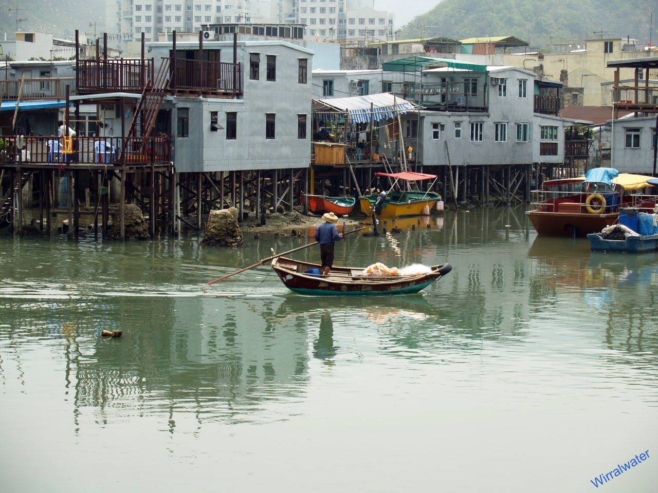 Longevity Through Renewal: The Enduring Wisdom of Hong Kong's Water Villages