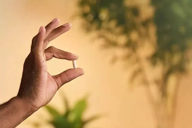 A hand holding a dietary supplement.