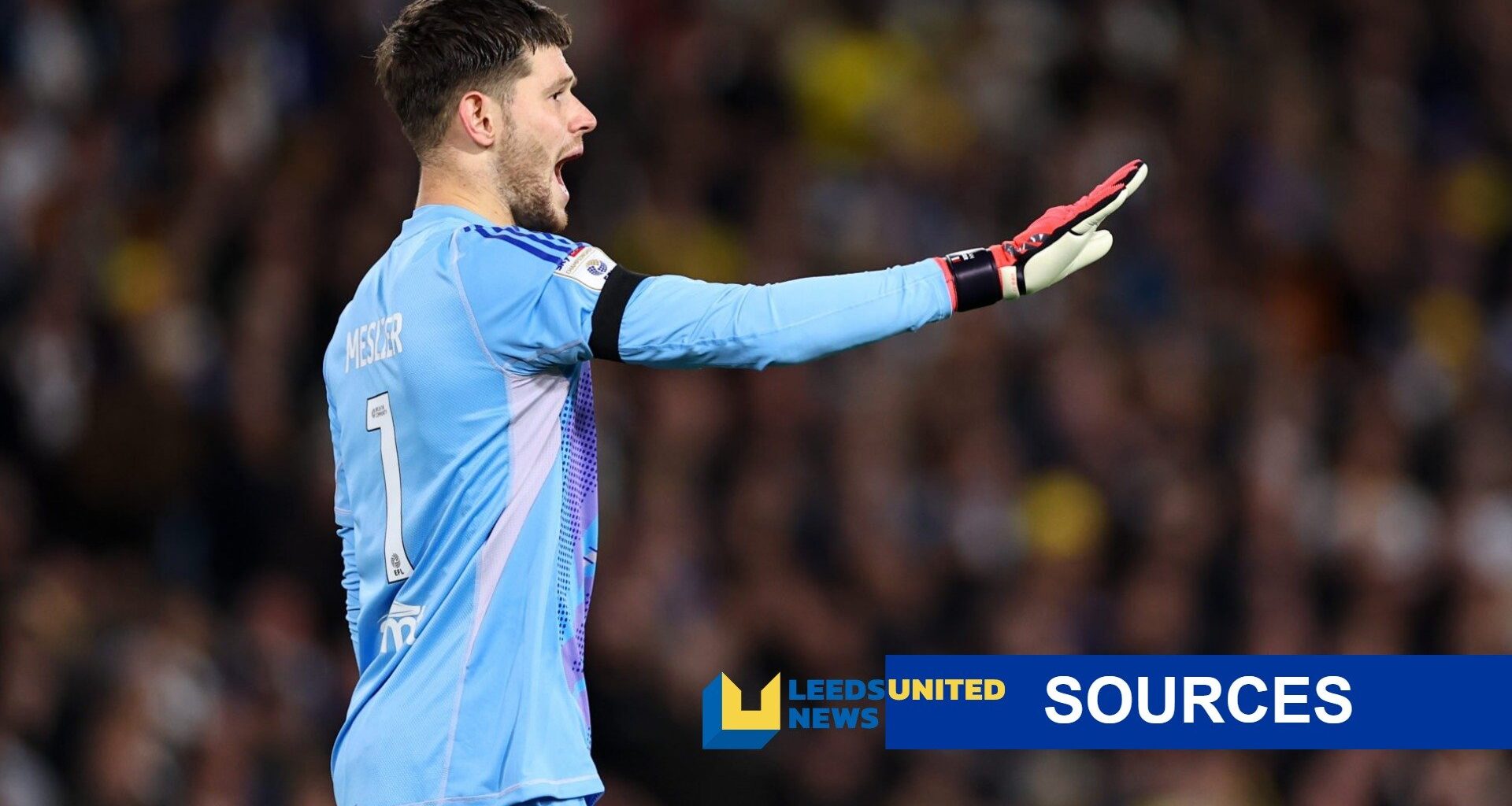 Leeds United's stance on selling Illan Meslier becomes 'obvious' but they face two major issues in the market