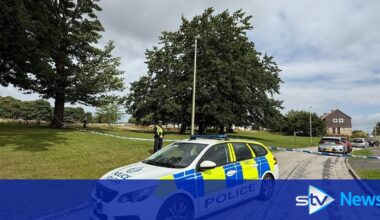 XL Bully dead and man in hospital after car driven into Aberdeen park in murder bid