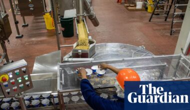 US workers say Trump’s immigration crackdown is causing labor shortages: ‘A strain on everybody’ | US news