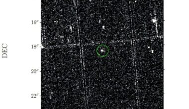 New long-period radio transient discovered
