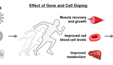 Analytical technique for gene and cell doping could ensure ethics and fairness in sports