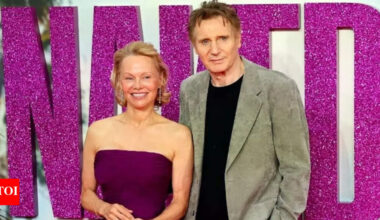 Liam Neeson and Pamela Anderson’s combined net worth: The 'Naked Gun' co-stars and rumoured couple have a $140 million fortune together – Here’s who’s richer | English Movie News