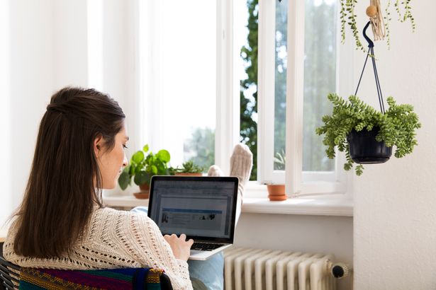 woman using her laptop at home sitting by a window