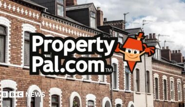 Graphic of PropertyPal logo imposed on a background image of a row of terrace houses