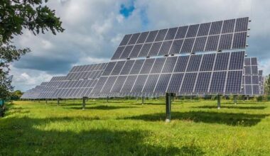 Stow Longa solar energy farm plans approved by council