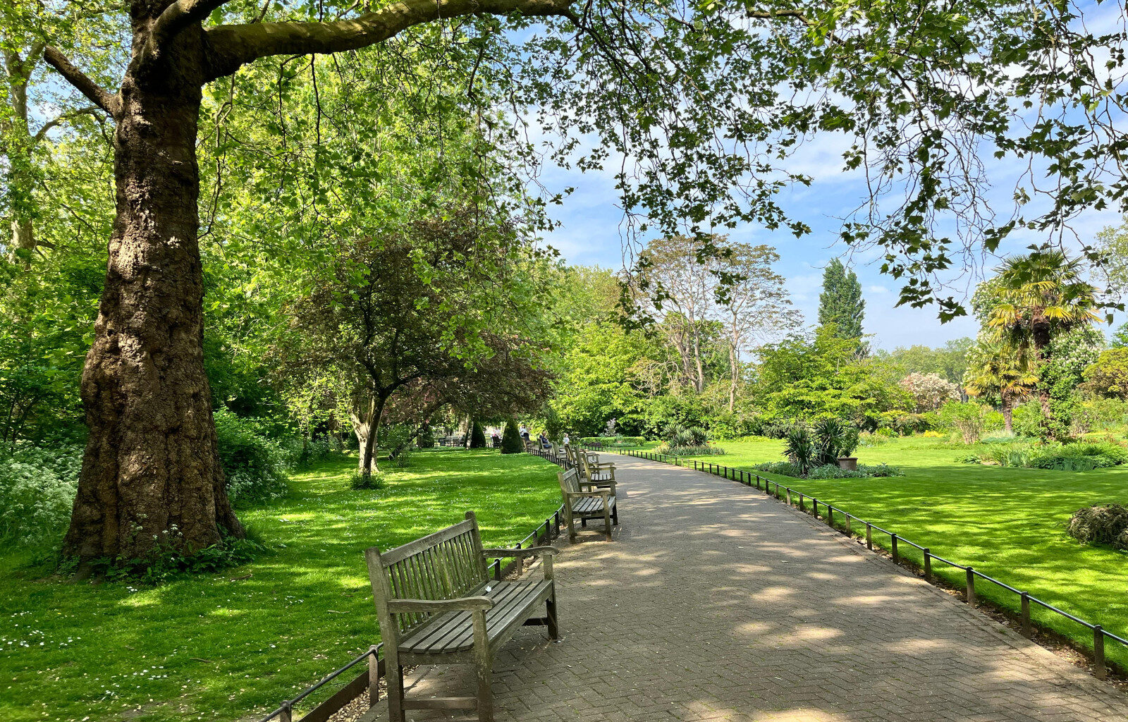 Award-winning green spaces “need you this summer”, says London Open Spaces Leader