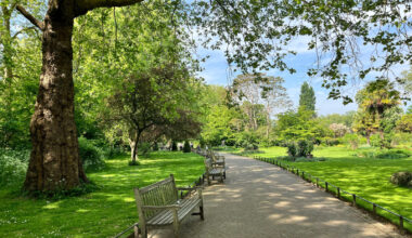 Award-winning green spaces “need you this summer”, says London Open Spaces Leader