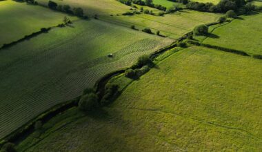 Arable land dominates UK farmland market amid slump