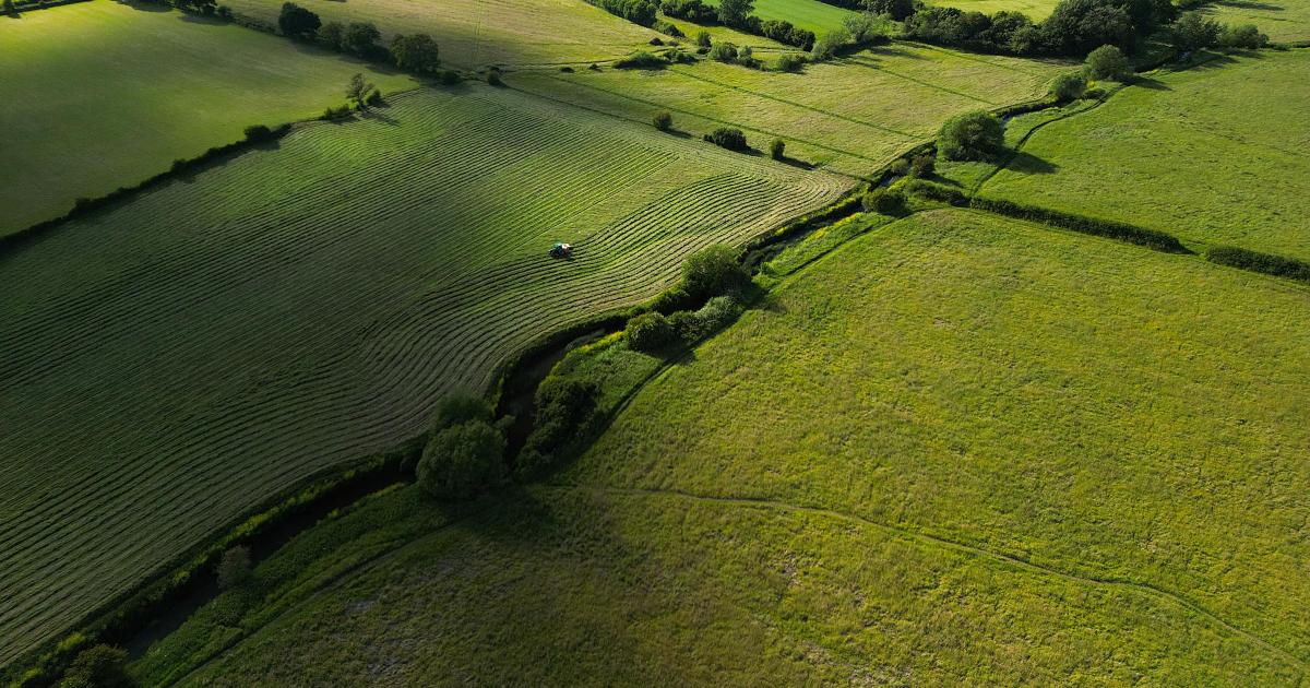 Arable land dominates UK farmland market amid slump