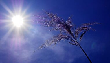 Rachel Moore: Why heatwaves are the new normal in the UK