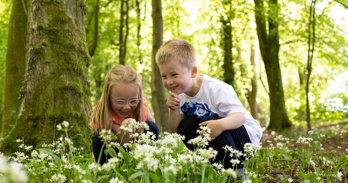 Welsh communities urged to connect with local wildlife