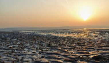 Cheshire Wildlife Trust’s impressive Our Dee Estuary project