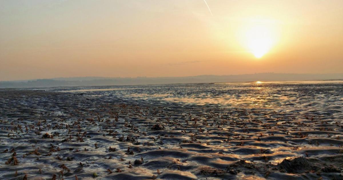 Cheshire Wildlife Trust’s impressive Our Dee Estuary project