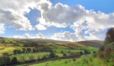 The Farmers’ Union of Wales reflects on Labour's first year