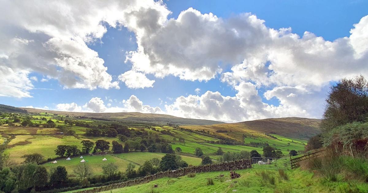 The Farmers’ Union of Wales reflects on Labour's first year