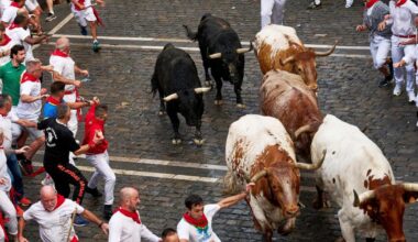 Pamplona holds opening bull run during Spain’s San Fermin festival